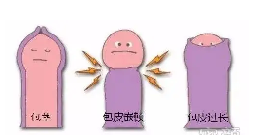 QQ截图20220319155554.png