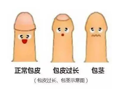 QQ截图20220322145818.png