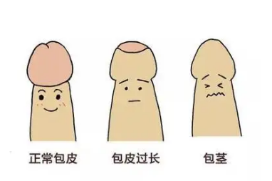 QQ截图20220322145832.png