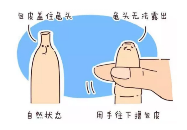 QQ截图20220411164951.png