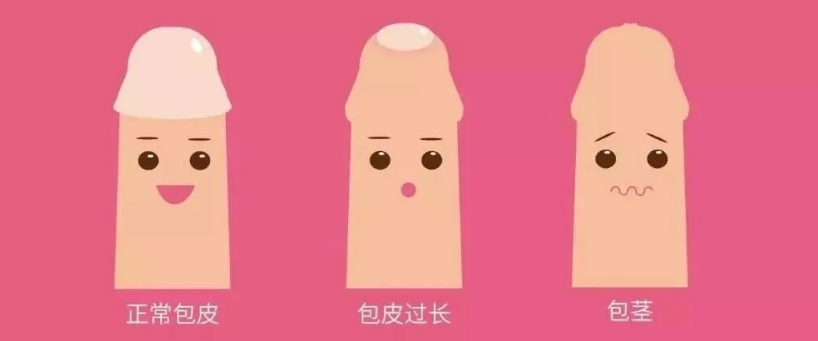QQ截图20220411165226.png