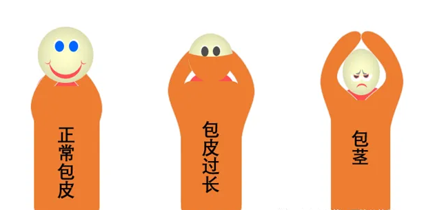 QQ截图20220516104332.png
