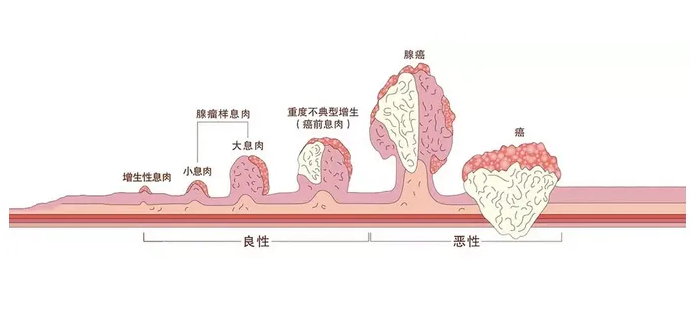 QQ截图20220606113123.png