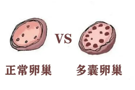QQ截图20220610112141.png