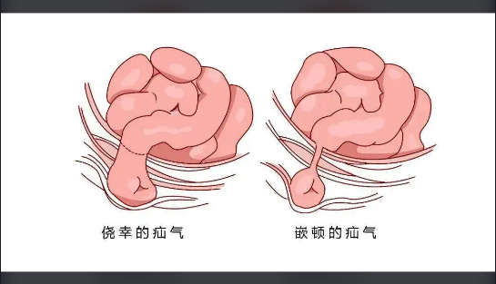 QQ截图20220806150154.png