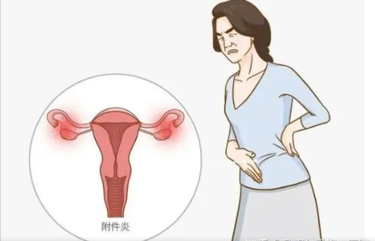 QQ截图20220809102525.png